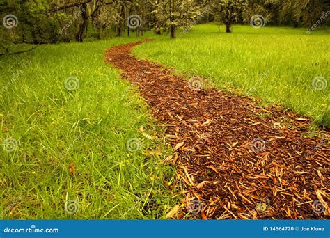 Bark Path Stock Photo Image Of Trail Mulch Field Green 14564720