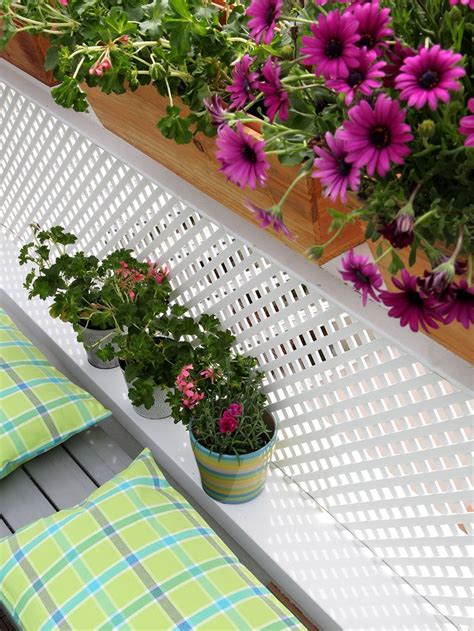 Esta planta es la versión colgante de la petunia. Inspiración: balcones con flores | Balcones, Flores balcon, Flores