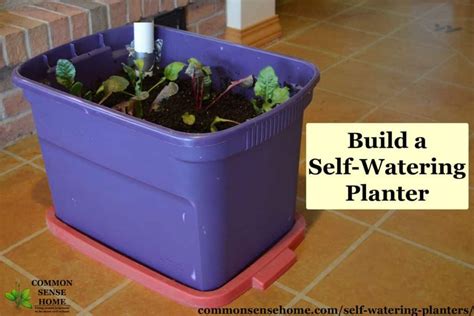 Self Watering Planters Diy Demo How They Work Tips For Use Self