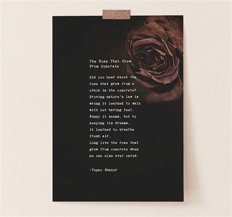 Tupac Shakur Poem The Rose That Grew From Concrete Poetry Etsy