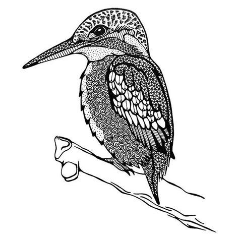 Maureen van Beek on Instagram “Wat is de ijsvogel een prachtig dier