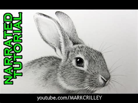 See more of bunny face on facebook. markcrilley - YouTube