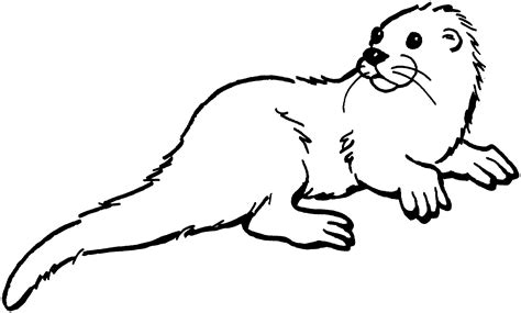 Otter Line Drawing At Getdrawings Free Download