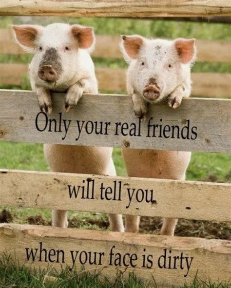 When you first start out speaking a foreign language, you'll have quite a few near misses. Pin by Victoria Decatur on PIGS Galore! | Cute animals, Real friends, Animals