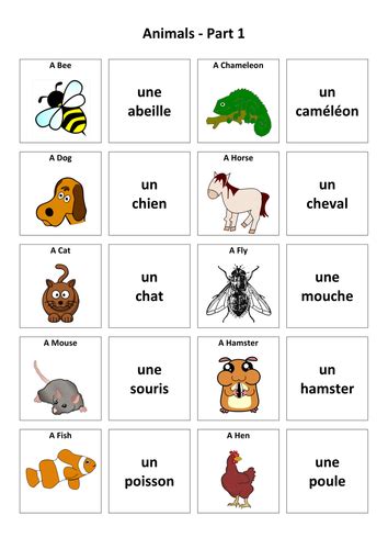 Animals French Vocabulary Card Sort Teaching Resources