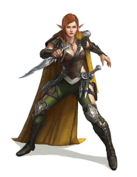 Female Elf Fighter Rogue Pathfinder Pfrpg Dnd D D E Th Ed D Fantasy Female Elf