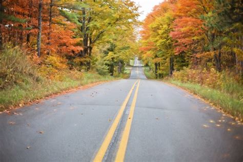 6 Fall Driving Tips To Keep You Safe This Season