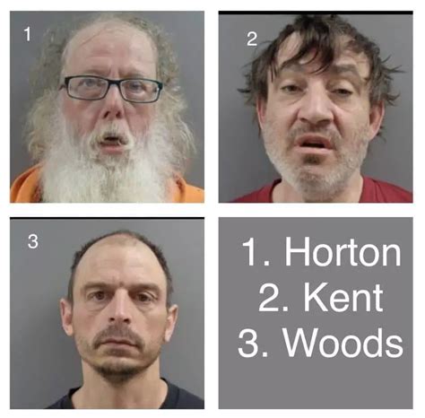 three sex offenders face additional felonies in izard county hallmark times