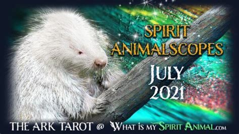 Spirit Animalscopes Horoscopes And Tarot Reading For July 2021 What Is