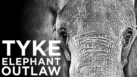 Is Tyke Elephant Outlaw 2015 Available To Watch On Uk Netflix