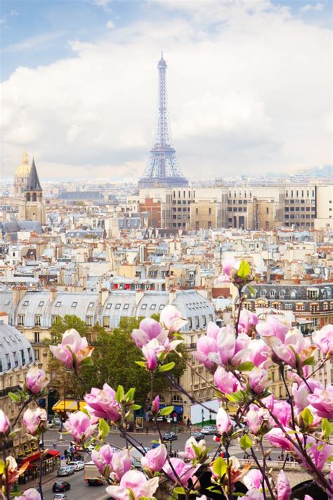 640x960 Eiffel Tower France Flowers Beautiful 4k Iphone 4 Iphone 4s