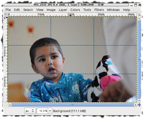 Vikram And Neha Adding Photography Grid Lines In Gimp