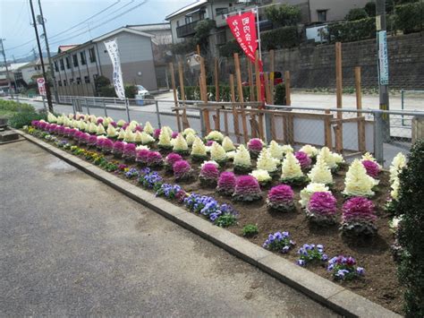 花づくり 3月12日花壇等の様子 | 古志原公民館