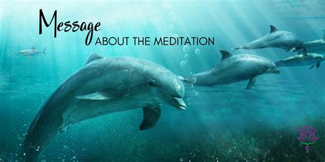 Message About The Global Equinox Water Healing Meditation By D Takara