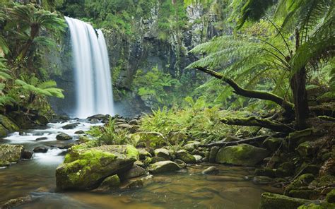 Rainforest Waterfall Daintree Rainforest Waterfall Wallpaper Waterfall