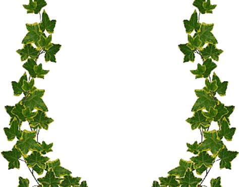 Green Leaf Border Design Png Clipart Full Size Clipart 708847