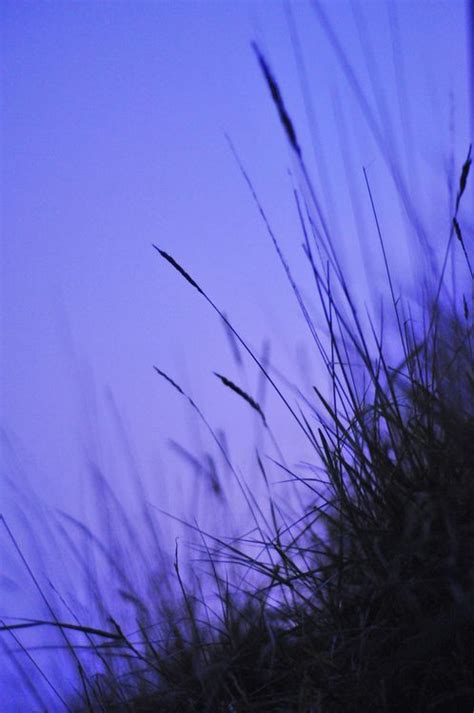Bring your project to life with a full spectrum of beautiful colors for any color palette or color scheme. Pin by Ruby Child on Black and Violet in 2020 | Periwinkle ...