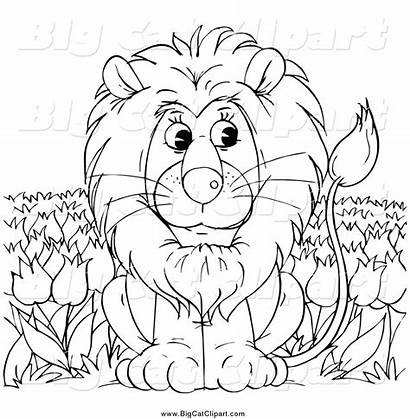 Lion Coloring Outline Clipart Sitting Tulip Cat