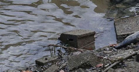 A Canal Was Drained In Paris 21 Photos Show What They Found On The