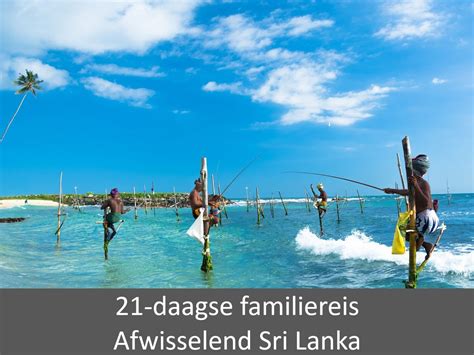 Rondreis Buitengewoon Sri Lanka Individuele Rondreis Mimpi Reizen