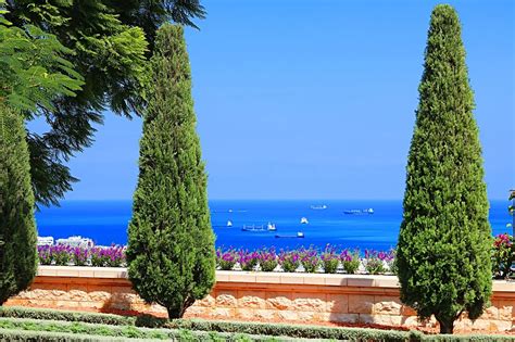 Maybe you would like to learn more about one of these? Mediterraner Garten: Planzen & Tipps zum Anlegen ...