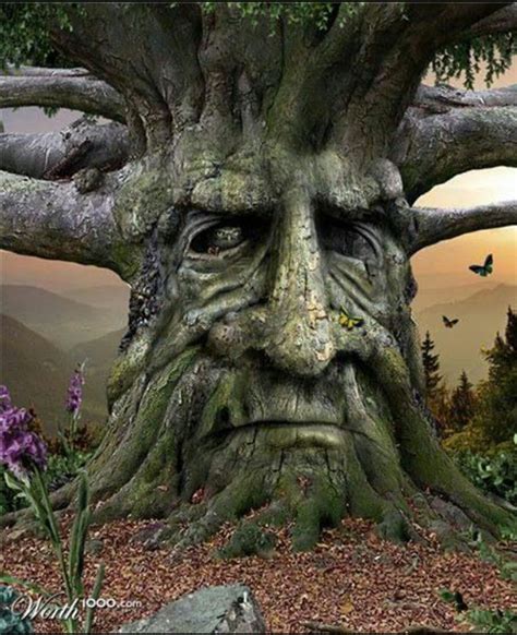 Tree Spirit Magical Tree Tree Faces Tree Sculpture