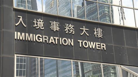 審計報告：入境處須加快處理懷疑假結婚個案 | Now 新聞