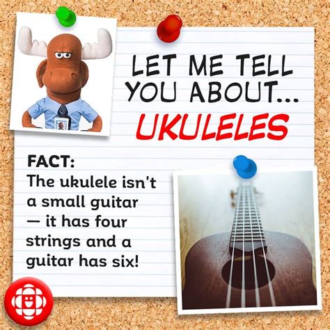 4 Fun Facts For World Play Your Ukulele Day Explore Awesome