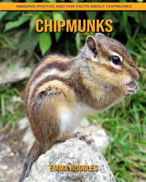 Chipmunks Amazing Photos And Fun Facts About Chipmunks By Emma Ruggles
