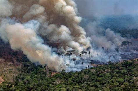 Amazon Rainforest Fire And Elliot City Flooding Hi Tide
