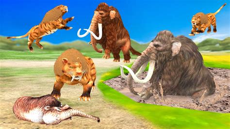 Woolly Mammoth Vs Saber Tooth Tiger Fight Lyuba Baby Mammoth Saber
