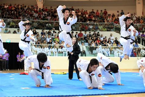 Taekwondo Korean Taekwondo