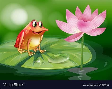 A Frog Above Waterlily Beside A Pink Flower Vector Image