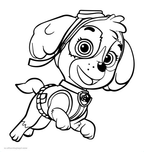 Patte Patrouille Coloriage Beau Photographie Coloriage Pat Patrouille
