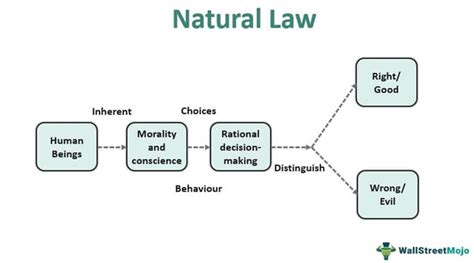 Natural Law Definition Theory Ethics And Examples
