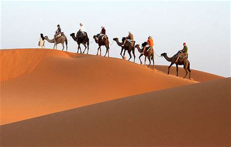 Camel Trekking in Morocco | Morocco Desert Tours | Camel Trek Morocco