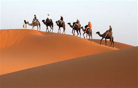 The sunset tour begins around 5.30 pm. Camel Trekking in Morocco | Morocco Desert Tours | Camel ...