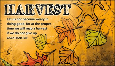 Harvest Quotes From Bible Quotesgram