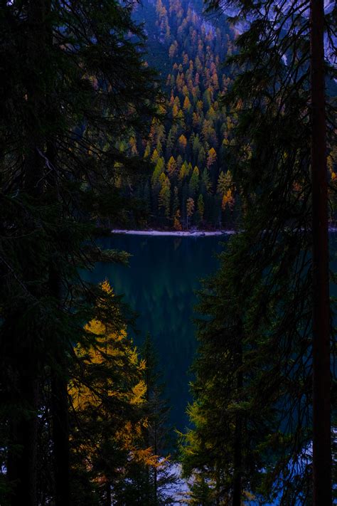 Lake 4k Wallpaper Forest Wilderness Pine Trees Cold Evening Nature 1100