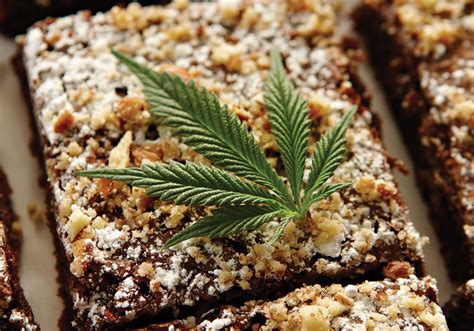 They may have everything but your gift of an edible insect gift box will not only be a surprise, it will create conversation and ensure a lifelong memory. Top 7 Cannabis Holiday Gift Ideas | Edibles Magazine™