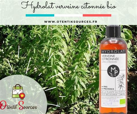 Hydrolat De Verveine Citronnée Bio Fabriqué En France Verveine