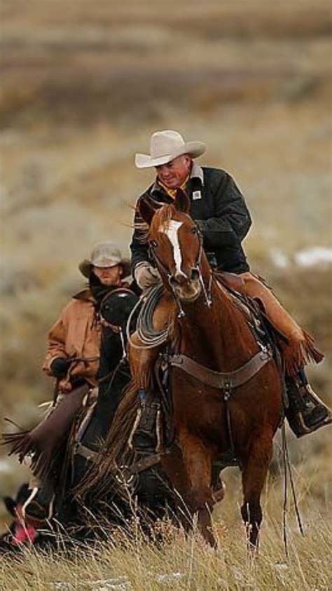 Riding Horses Cowboy Horse Cowboy Pictures