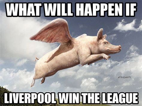 All your memes, gifs & funny pics in one place. Liverpool meme 6 | Indian Football Blog