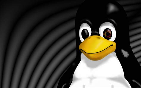 Free Download Linux Wallpapers Linux Stickers And T Shirts 1440x900
