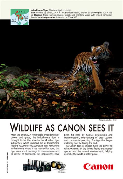Wildlife As Canon Sees It Canon Global