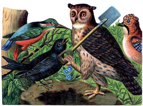Vintage Halloween Owl Image The Graphics Fairy
