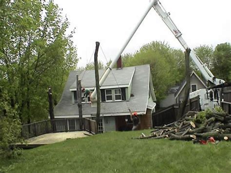 Local yard & garden landscaping estimates. Photo of Maine Tree and Landscape residential tree removal ...