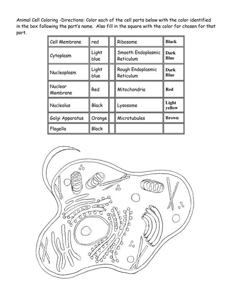Animal Cell Coloring Key K5 Worksheets