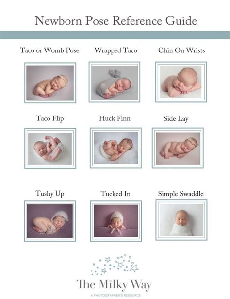 Newborn Posing Reference Guide Artofit