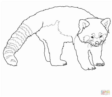 Maybe you would like to learn more about one of these? Chibi Animal Coloring Pages in 2020 (With images) | Panda ...